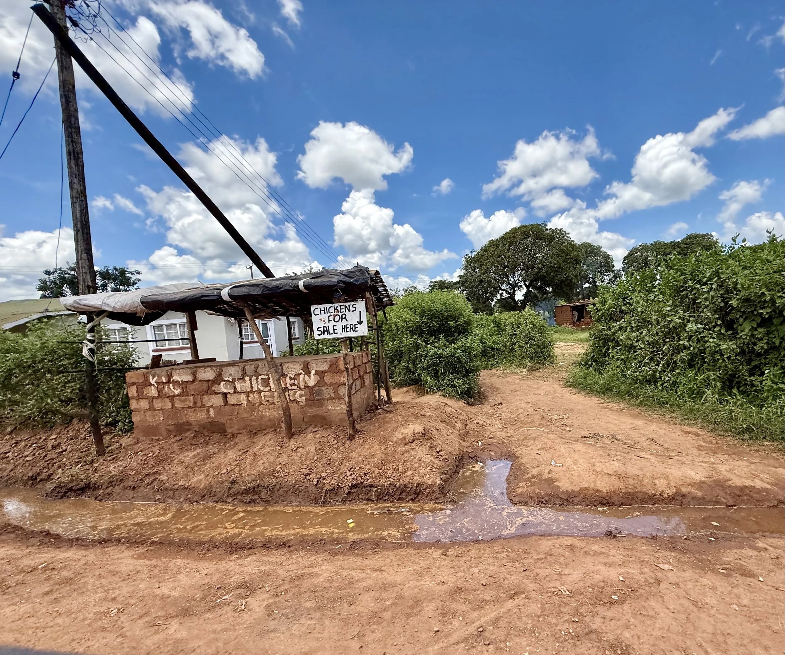 A rural outdoor scene with a dirt road and green trees, power lines on poles, and a small structure with a sign that says "CHICKENS FOR SALE HERE." The sky is blue with scattered clouds.