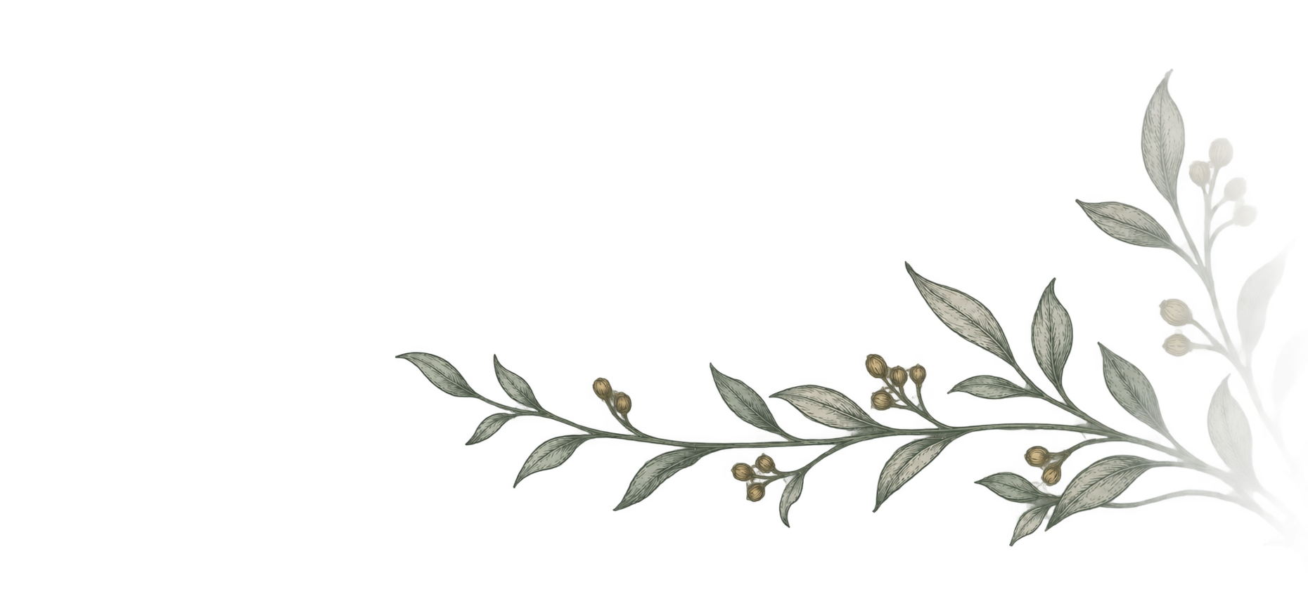 Decorative illustration of a potted plant with leaves and small flowers, placed at the bottom right corner of the image.
