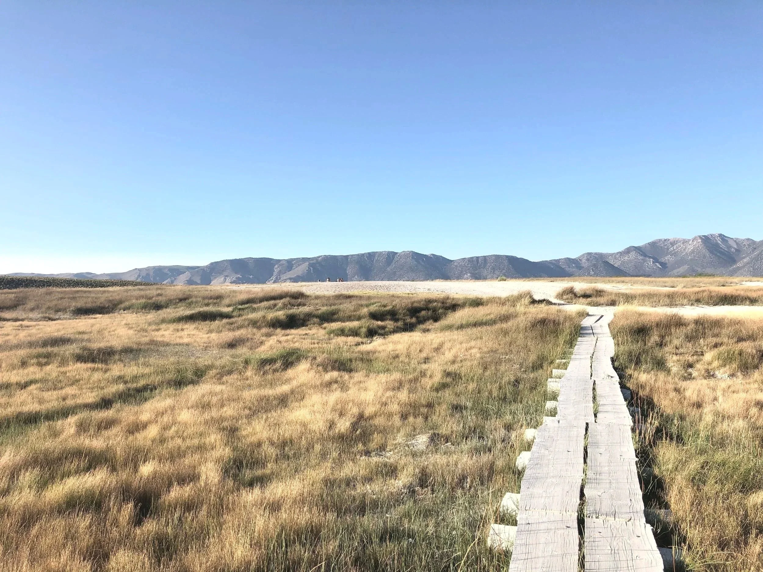 A landscape featuring a wooden walk path over grassy fields, with mountains in the background and a clear blue sky above.