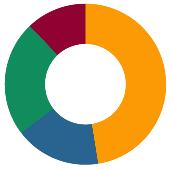 Sole Provider Pie Chart.png