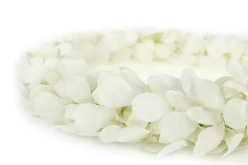 Leis-White2.jpg