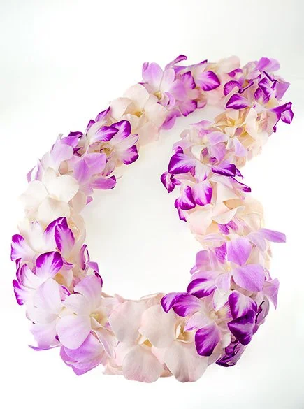 Splash Orchid Lei