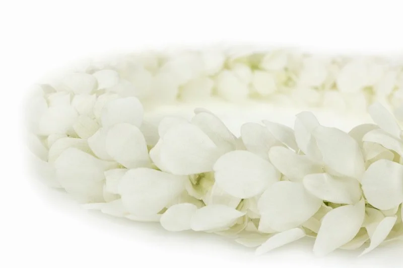 Leis-White2.jpg