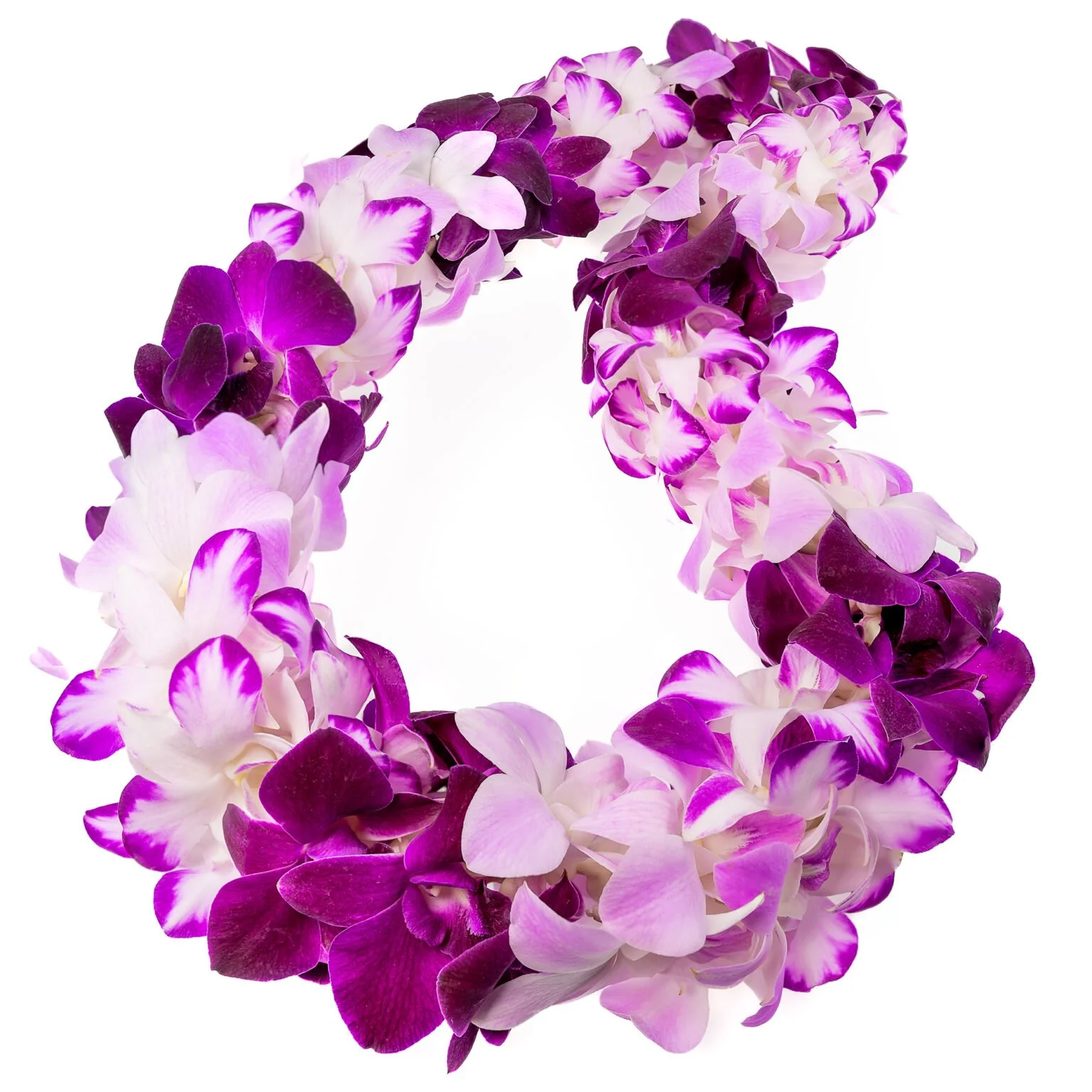 Lilac Orchid Lei