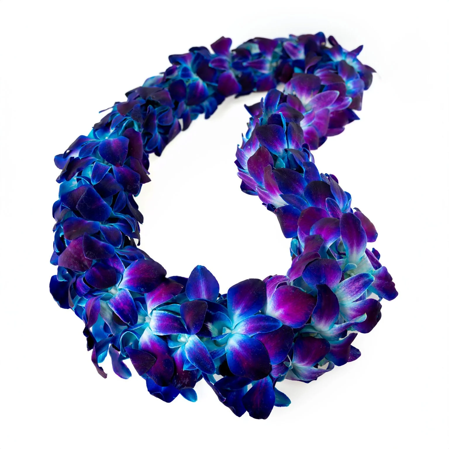 Sapphire Orchid Lei