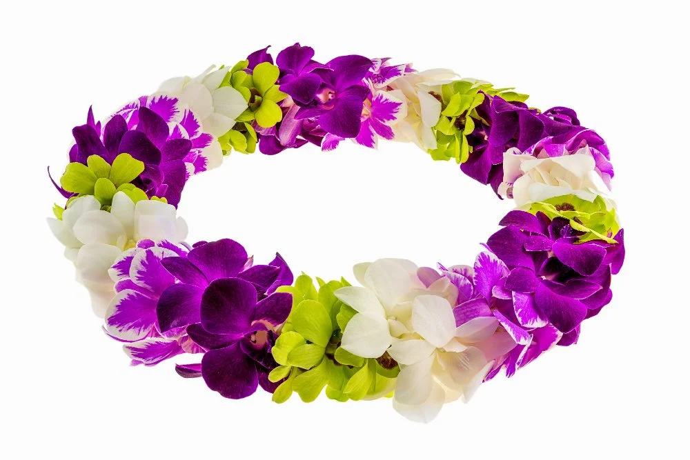 Rainbow Orchid Lei