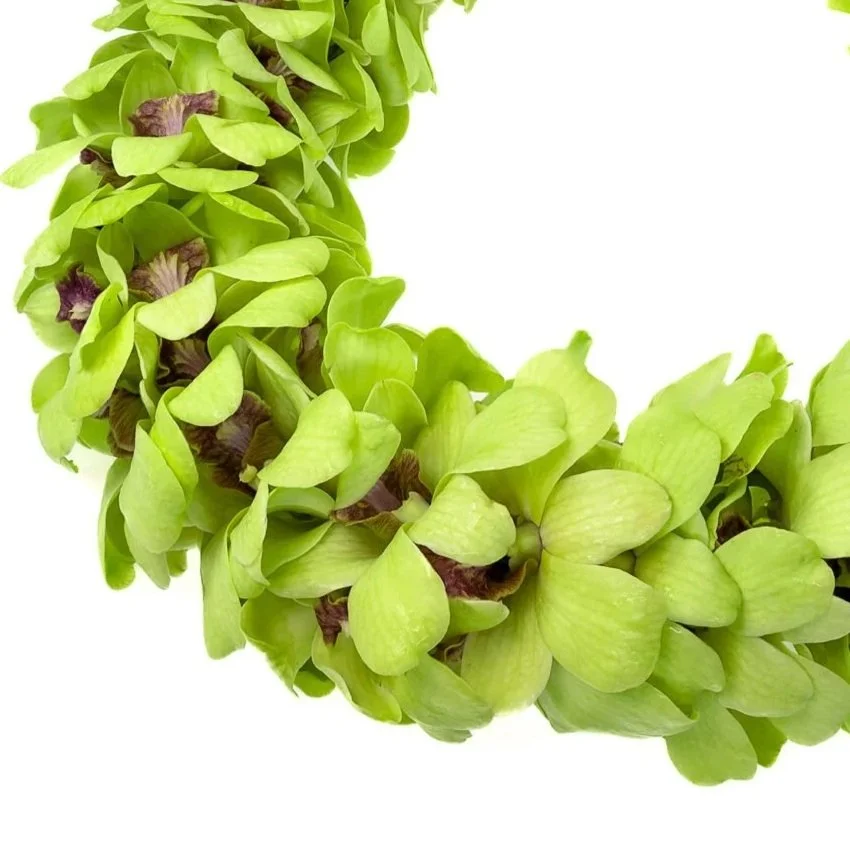Jade-1536x1536.jpg