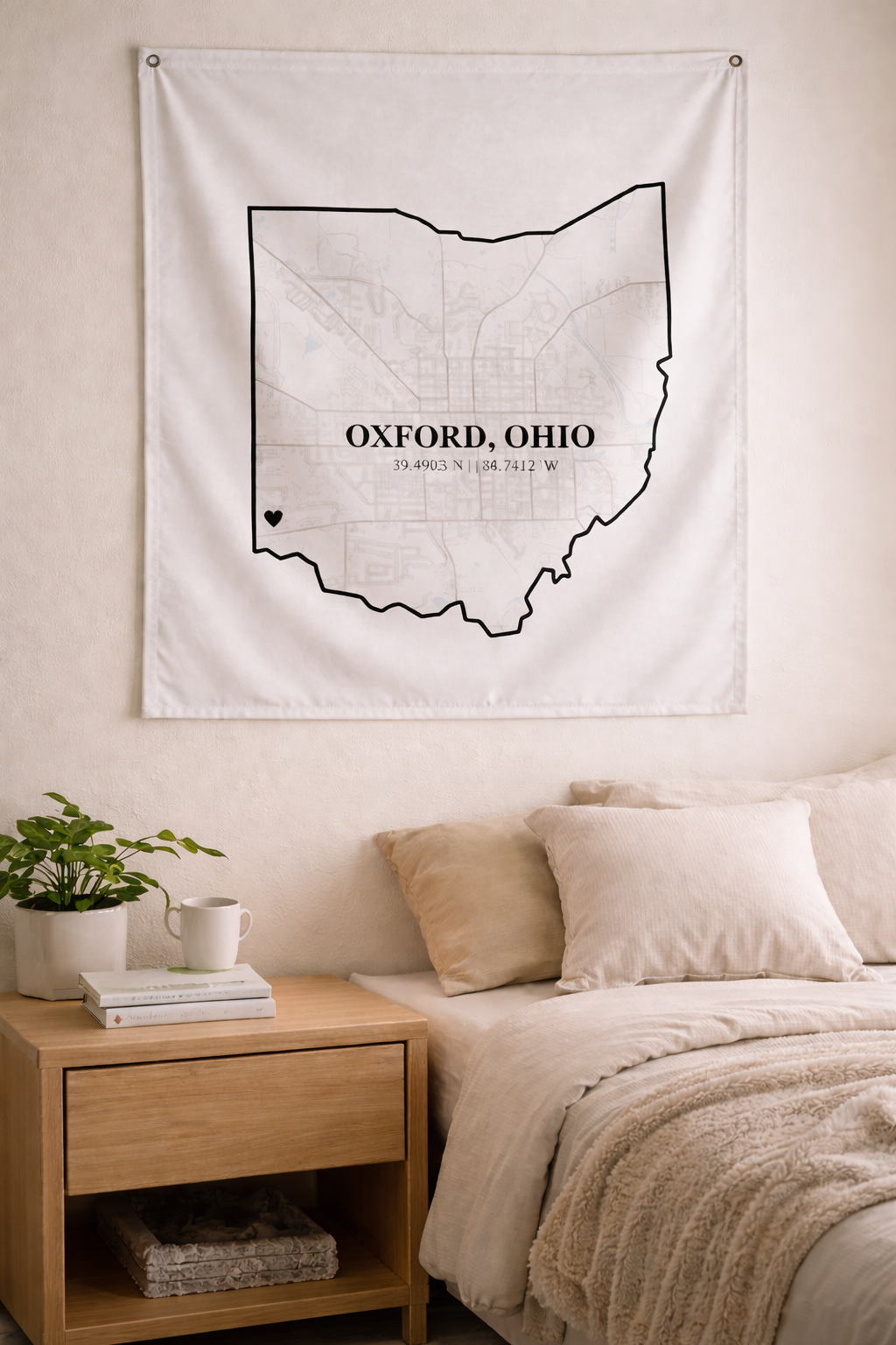 Cozy Oxford, Ohio dorm corner.png