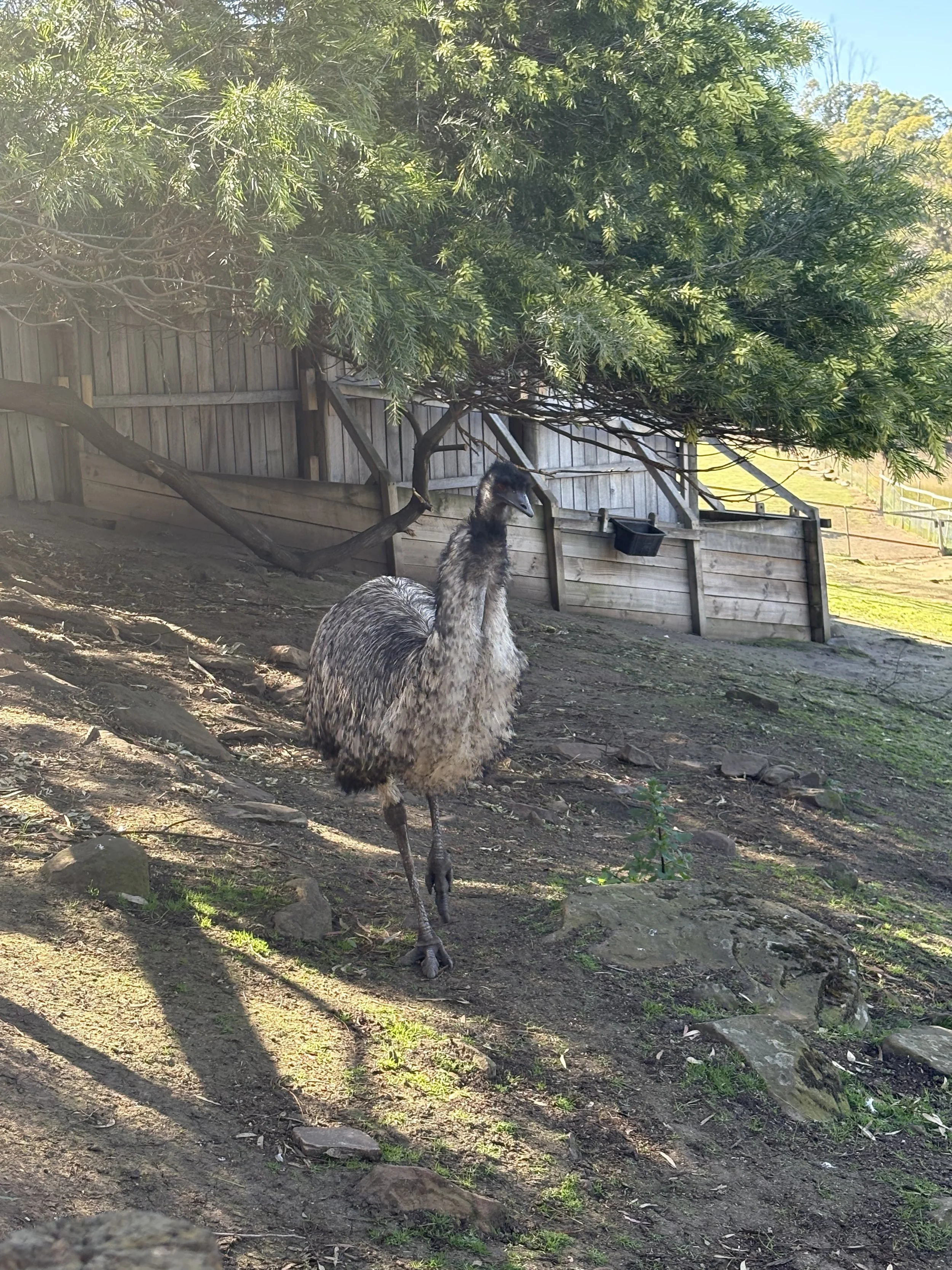 IMG_0782.jpeg