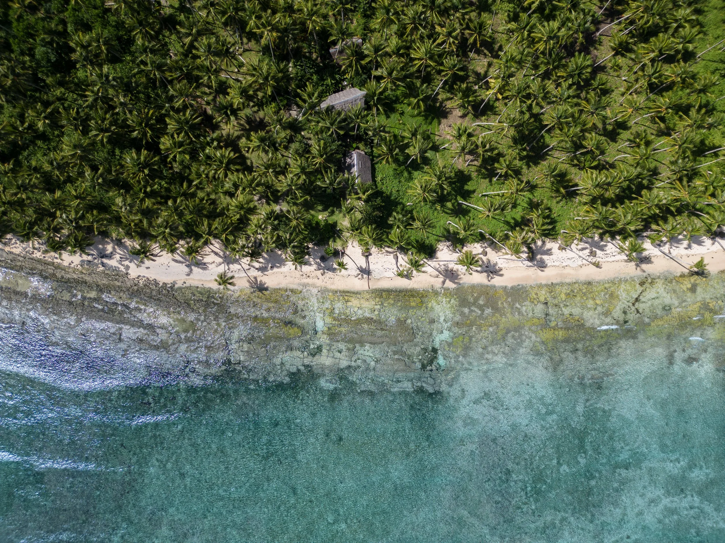 An aerial view of a tropical beach with a sandy shoreline, clear blue water, and a dense forest of palm trees.