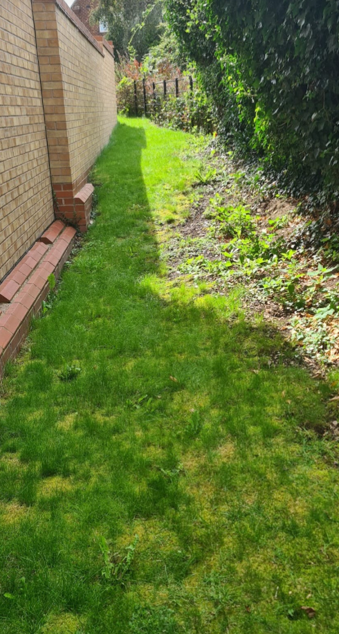 Screenshot 2025-12-06 112353.png