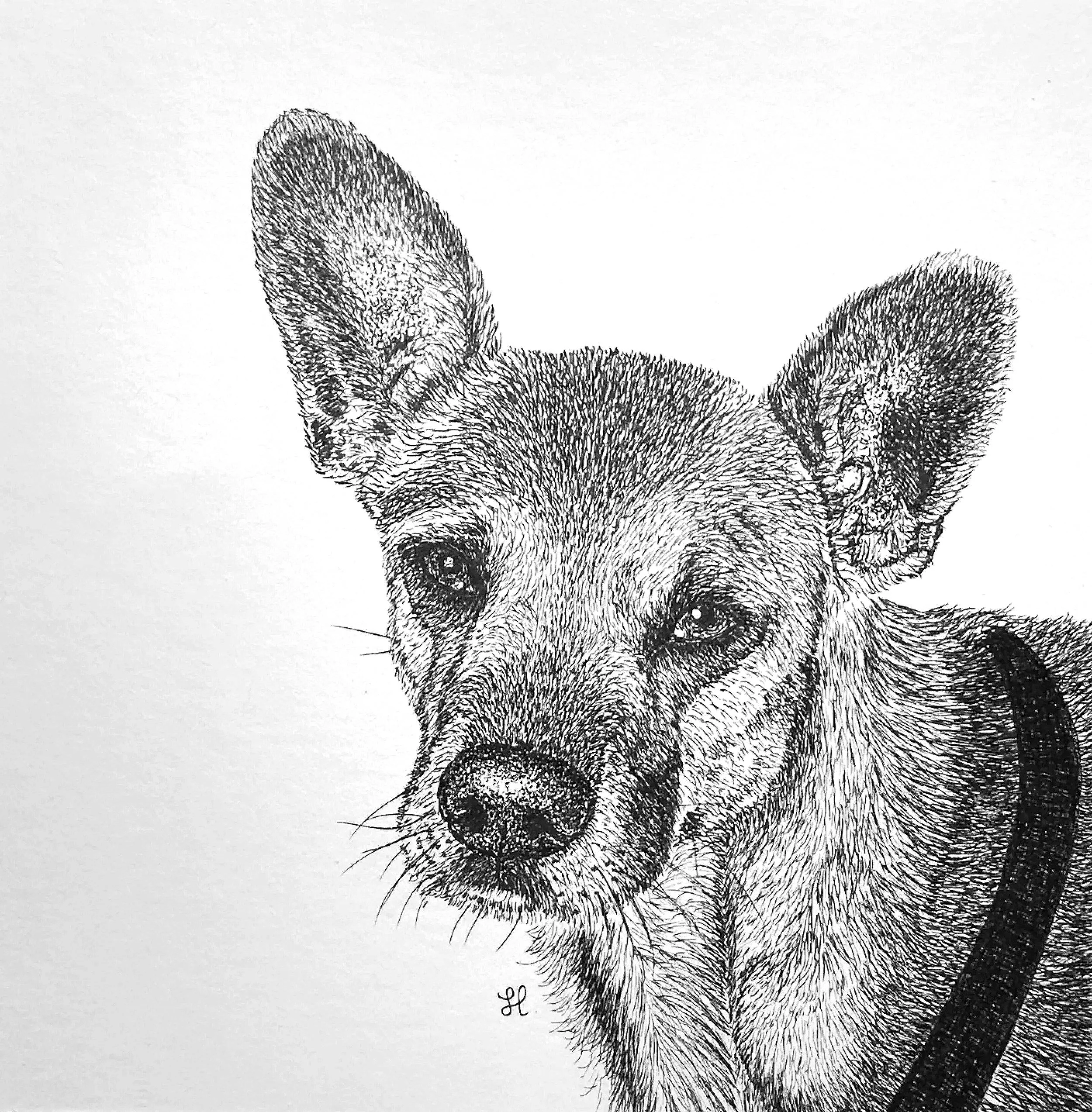 dog portrait in Indian Ink