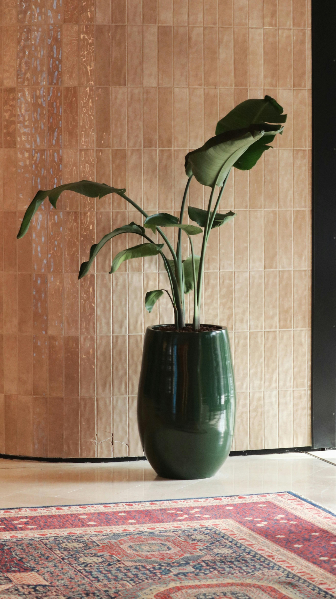 Feng shui explained.