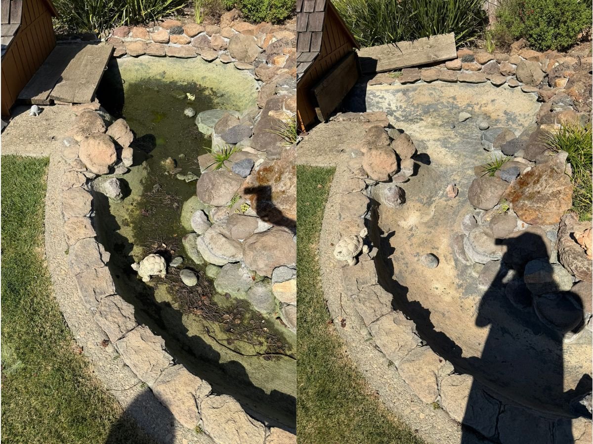 Before and after residential pond cleaning showing algae, leaves, and debris removed from a backyard pond.