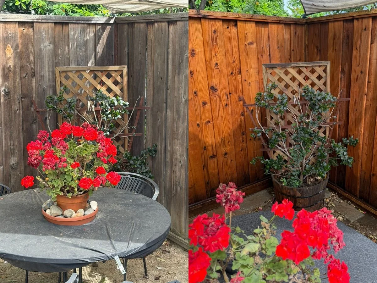 Before and after fence restoration showing a weathered wood fence cleaned and restored by Solano County Pressure Washing.