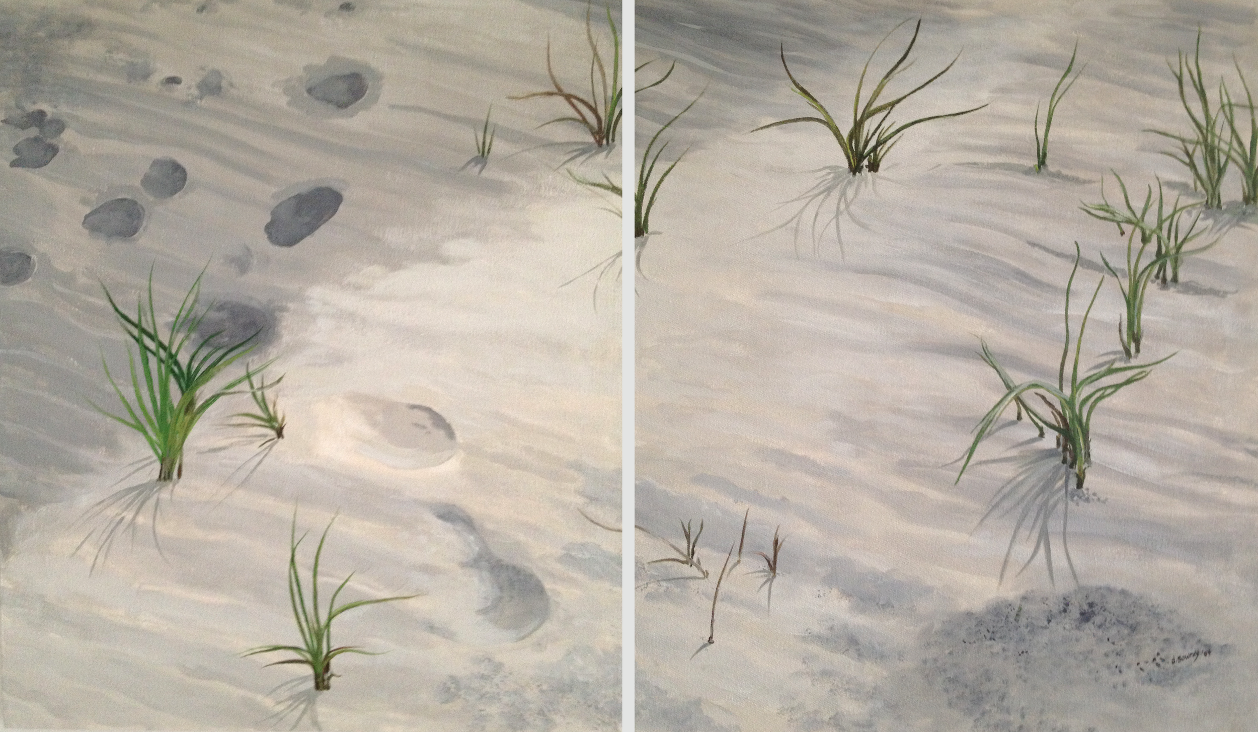 Beach Grass, Westhampton Beach, NY
