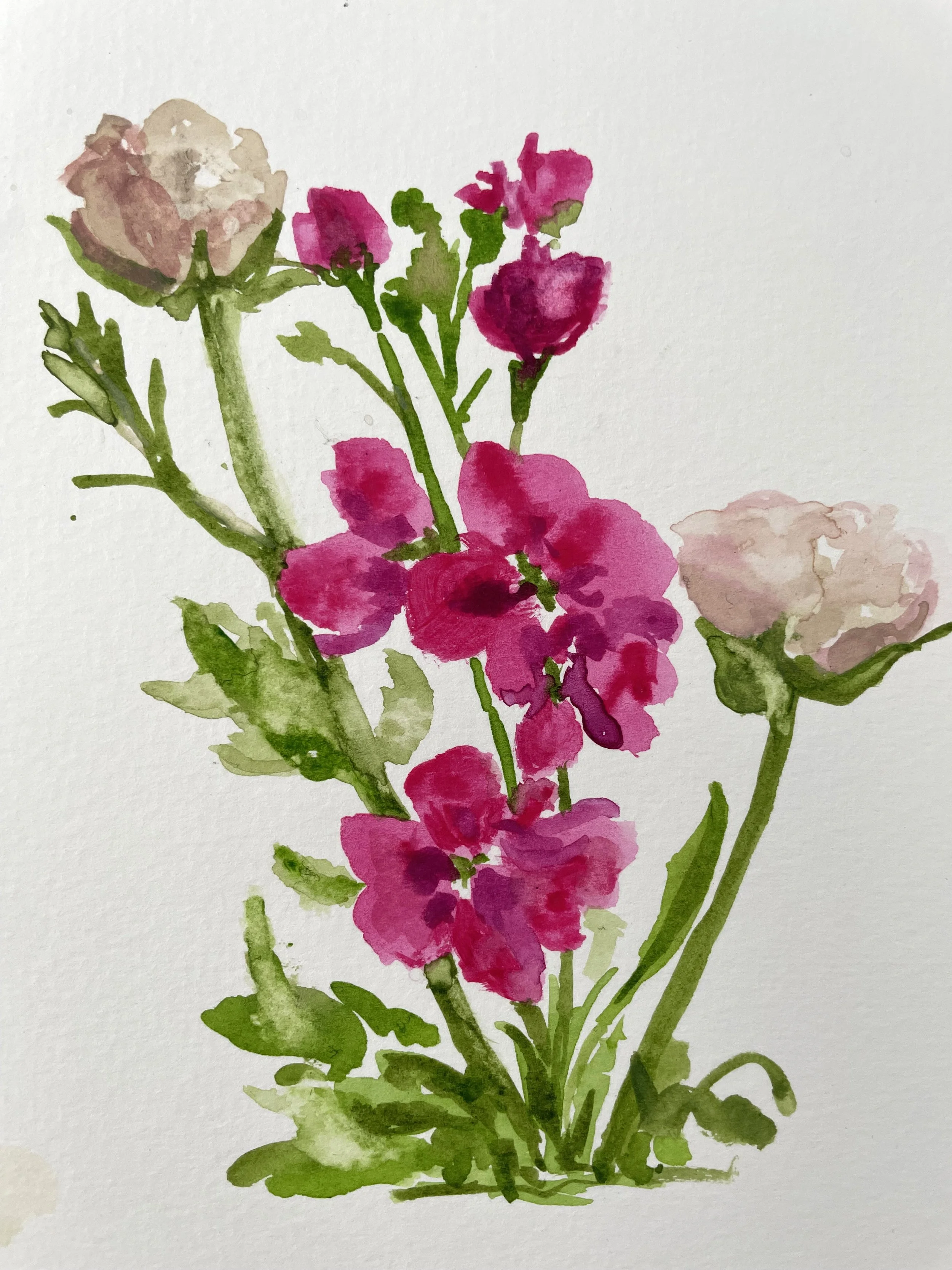 Florals.jpeg