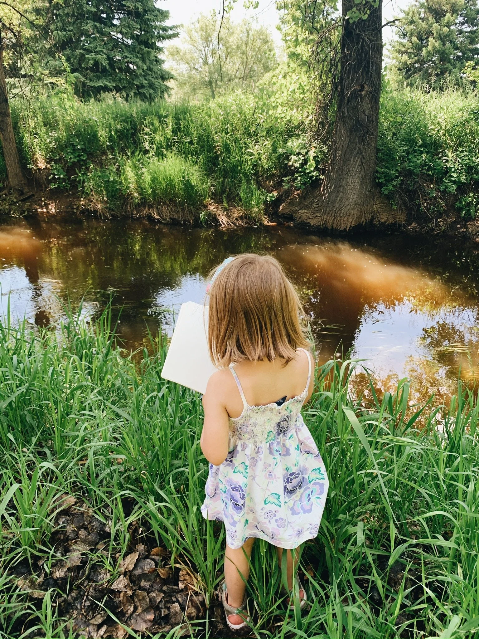 Adalaide creek journal.jpg