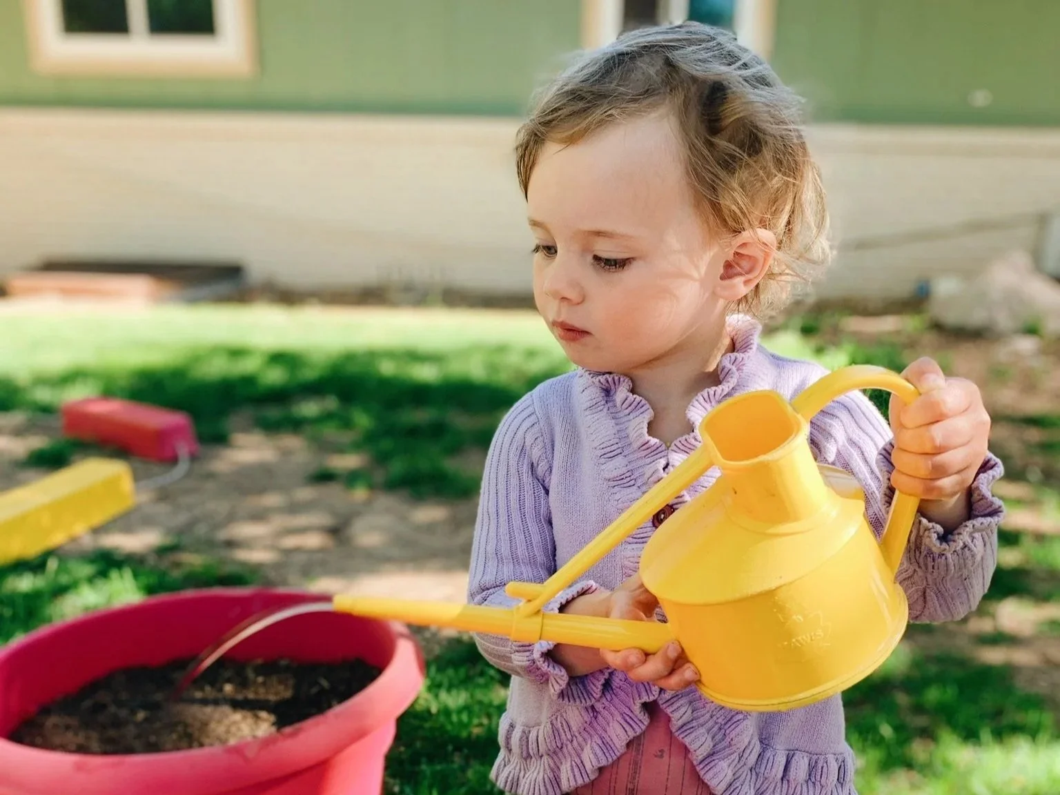 watering+seeds.jpg