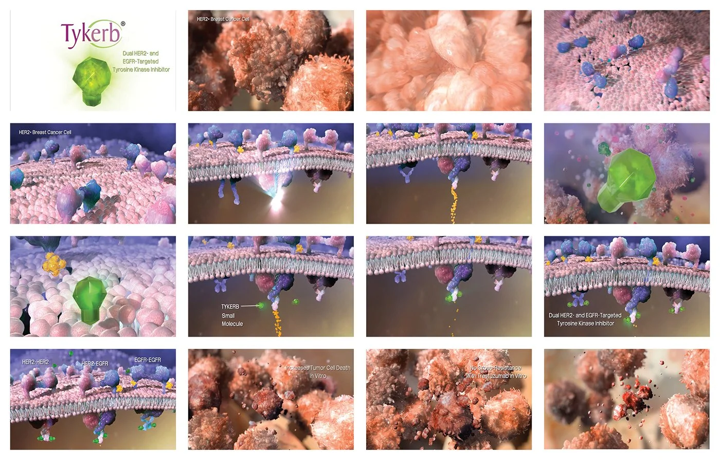 Project_06_Image_06.jpg