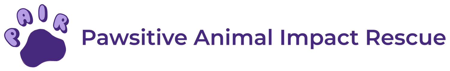 Pawsitive Animal Impact Rescue  - PAIR
