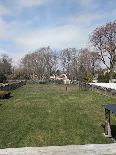 Our backyard in early Spring