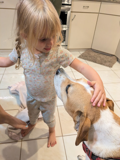 Our niece petting Palmer ready for a puppy kiss