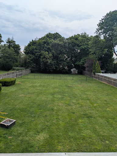 Our backyard in the summer