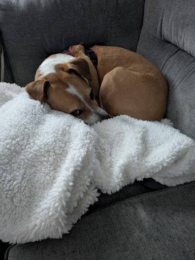 Palmer's signature cuddle pose crawling into a ball to snuggle