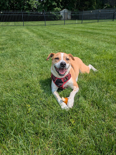 Palmer smiling as he soaks in the morning sun with one of his toys