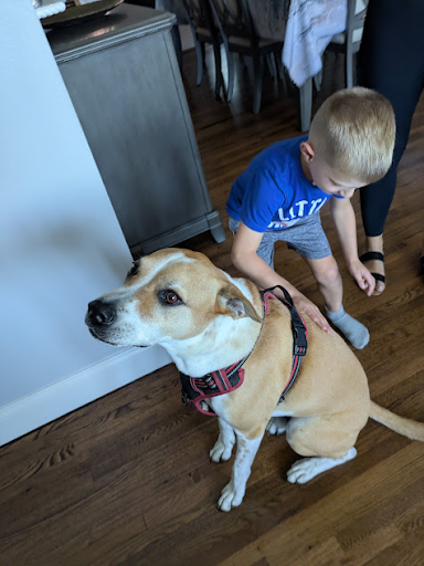 Our nephew petting Palmer while Palmer waits to give kisses