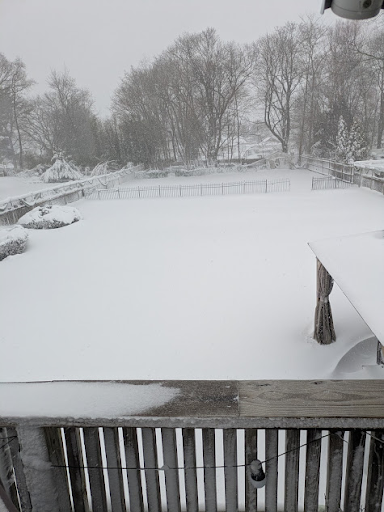 Our backyard after a winter snowstorm