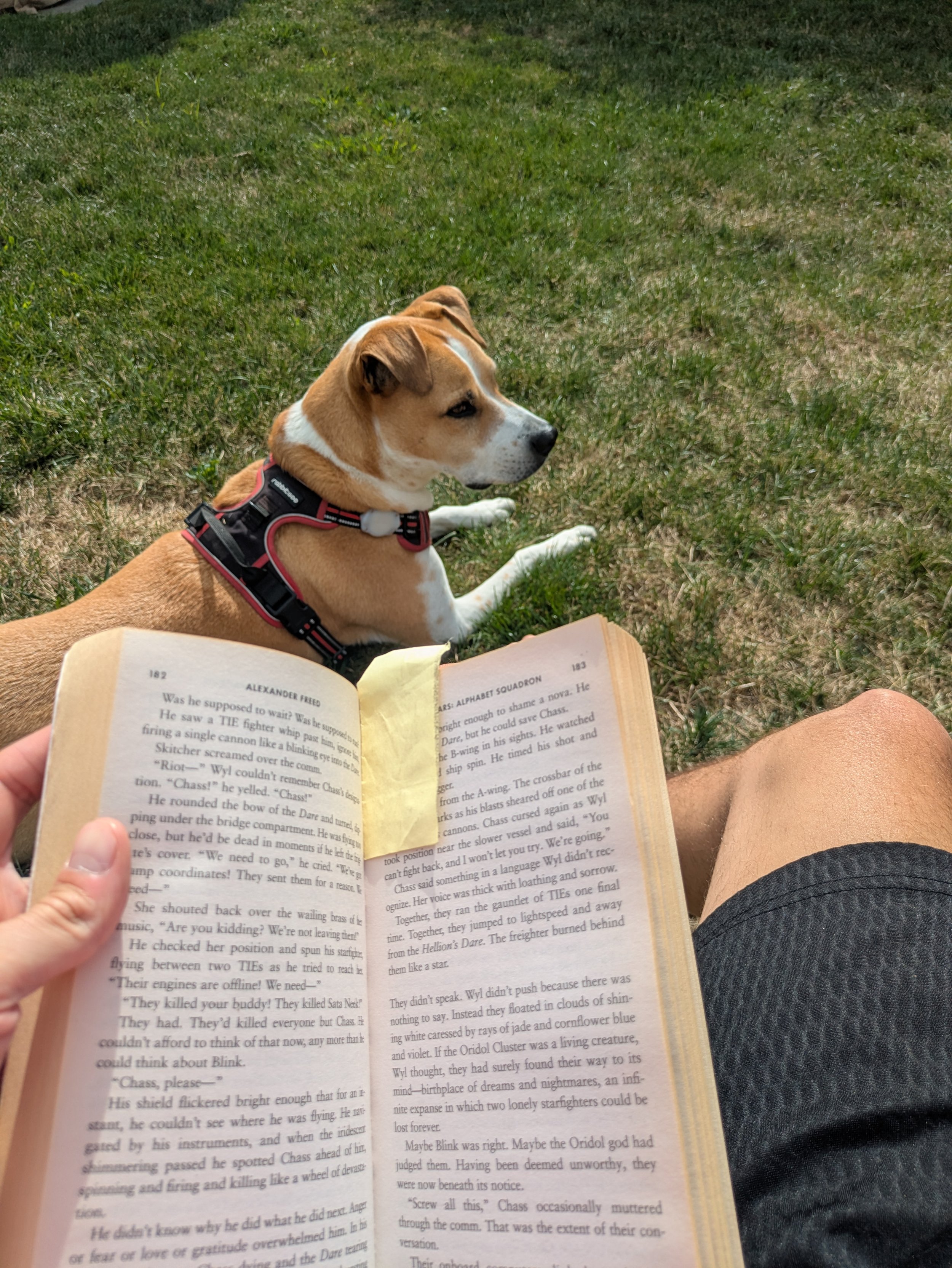 Reading to Palmer :)