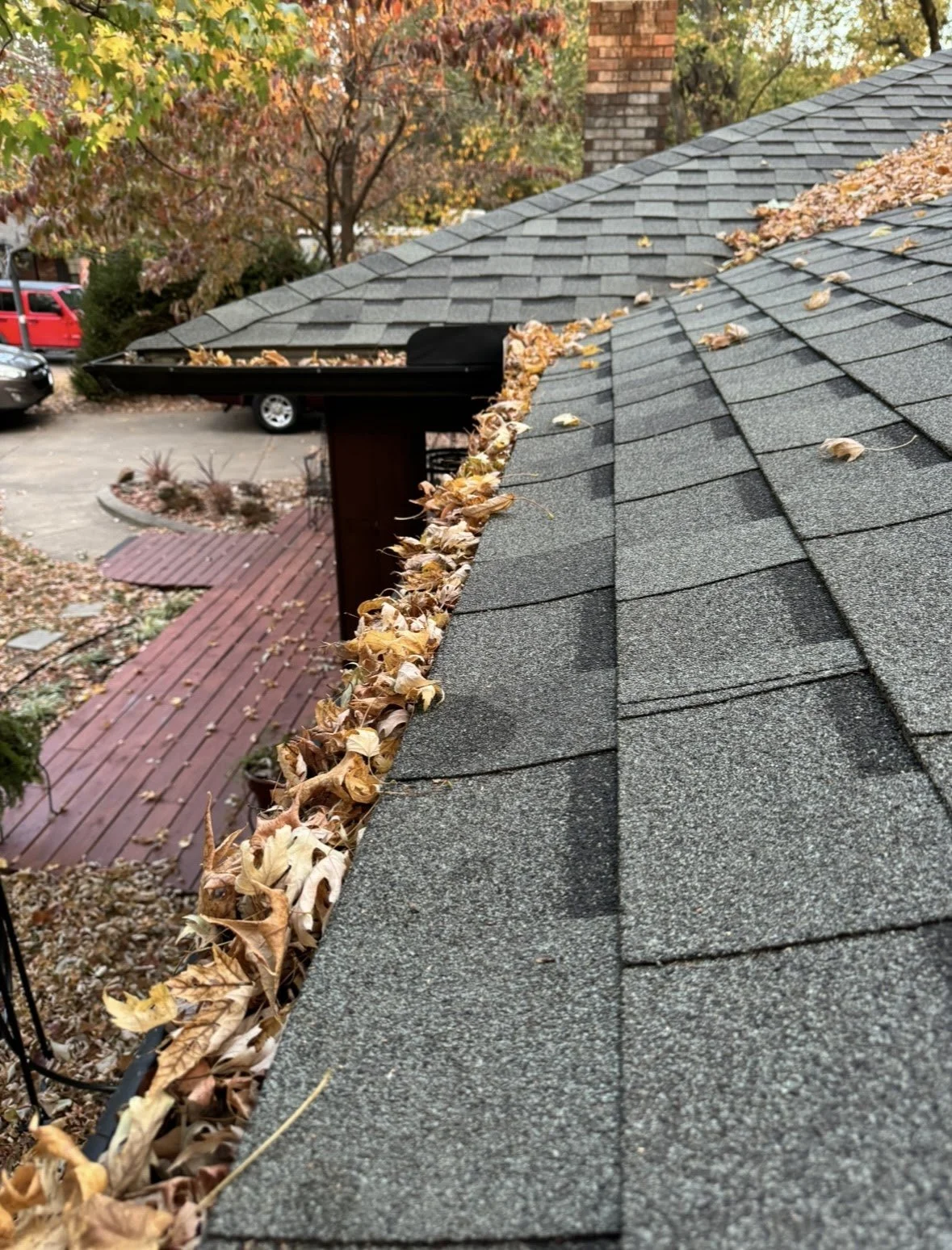 Before - Clogged gutters