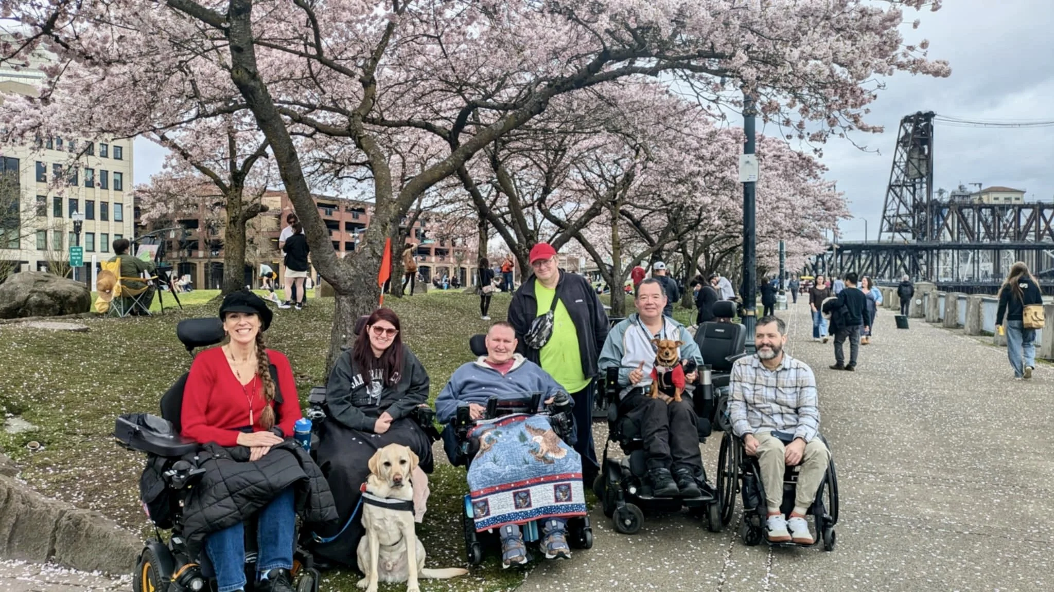 Oregon Wheelchair Hiking members gather at Portland Waterfront Park beneath blooming cherry trees, enjoying an accessible outdoor outing that promotes inclusion, friendship, and exploration of Oregon's parks and trails.