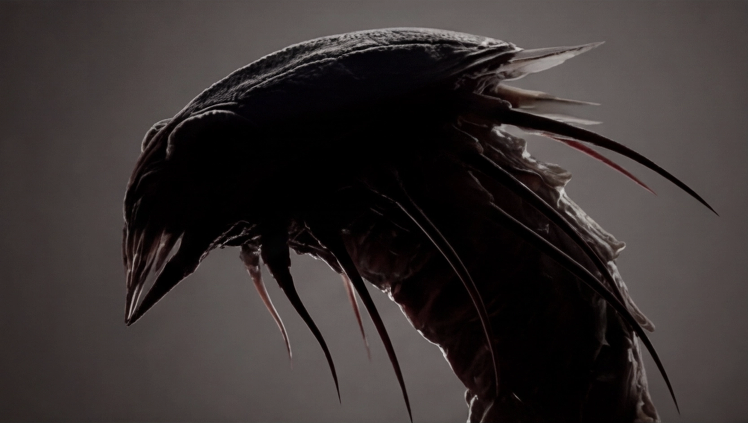 Screenshot 2026-03-27 at 10.02.37 AM.png