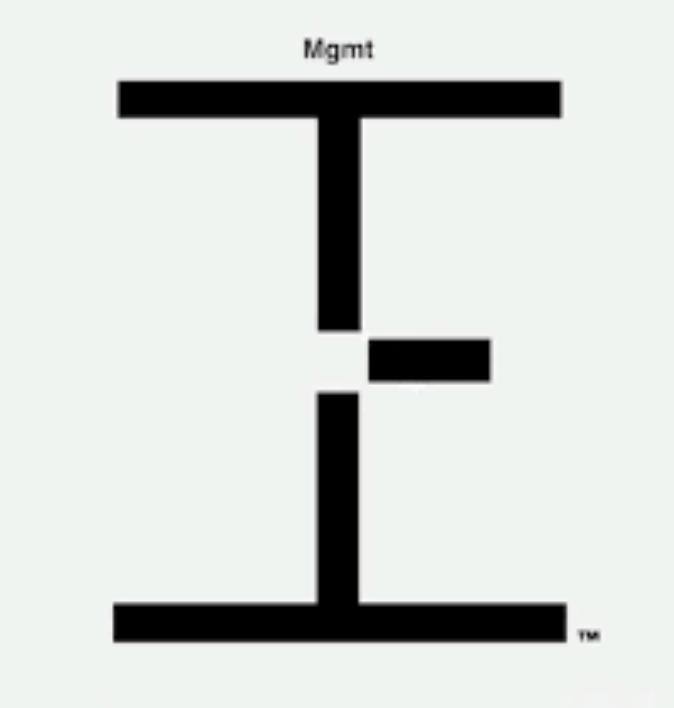 Logo for The Talent Express NY