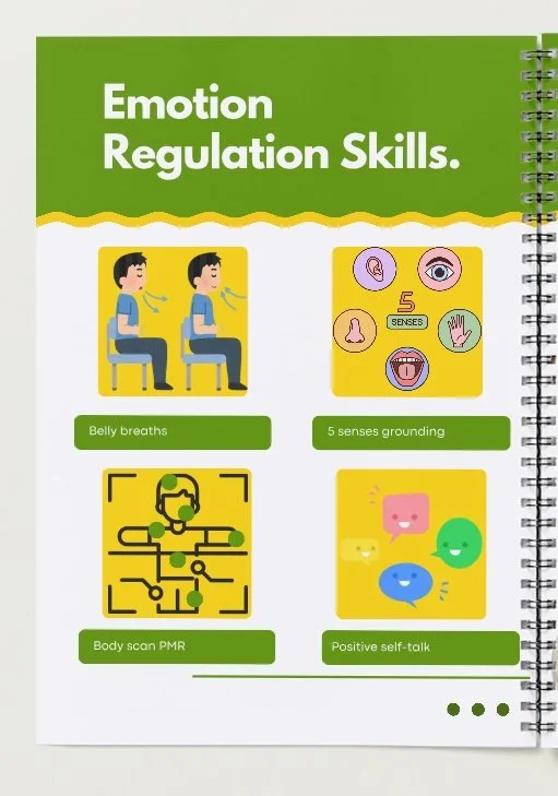Emotion regulation.jpeg