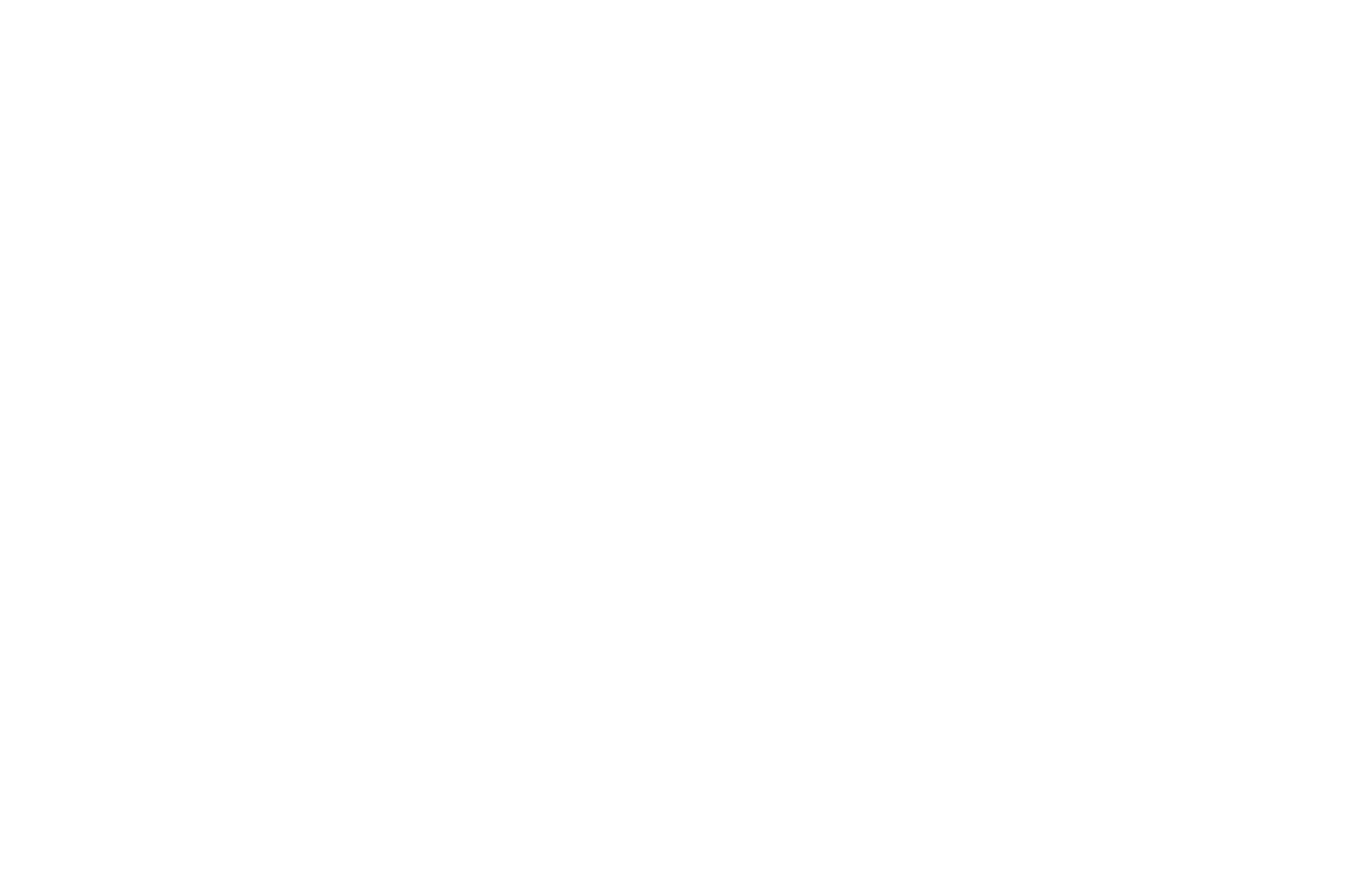 Stylized black and white logo featuring overlapping letters V and M in a modern font.
