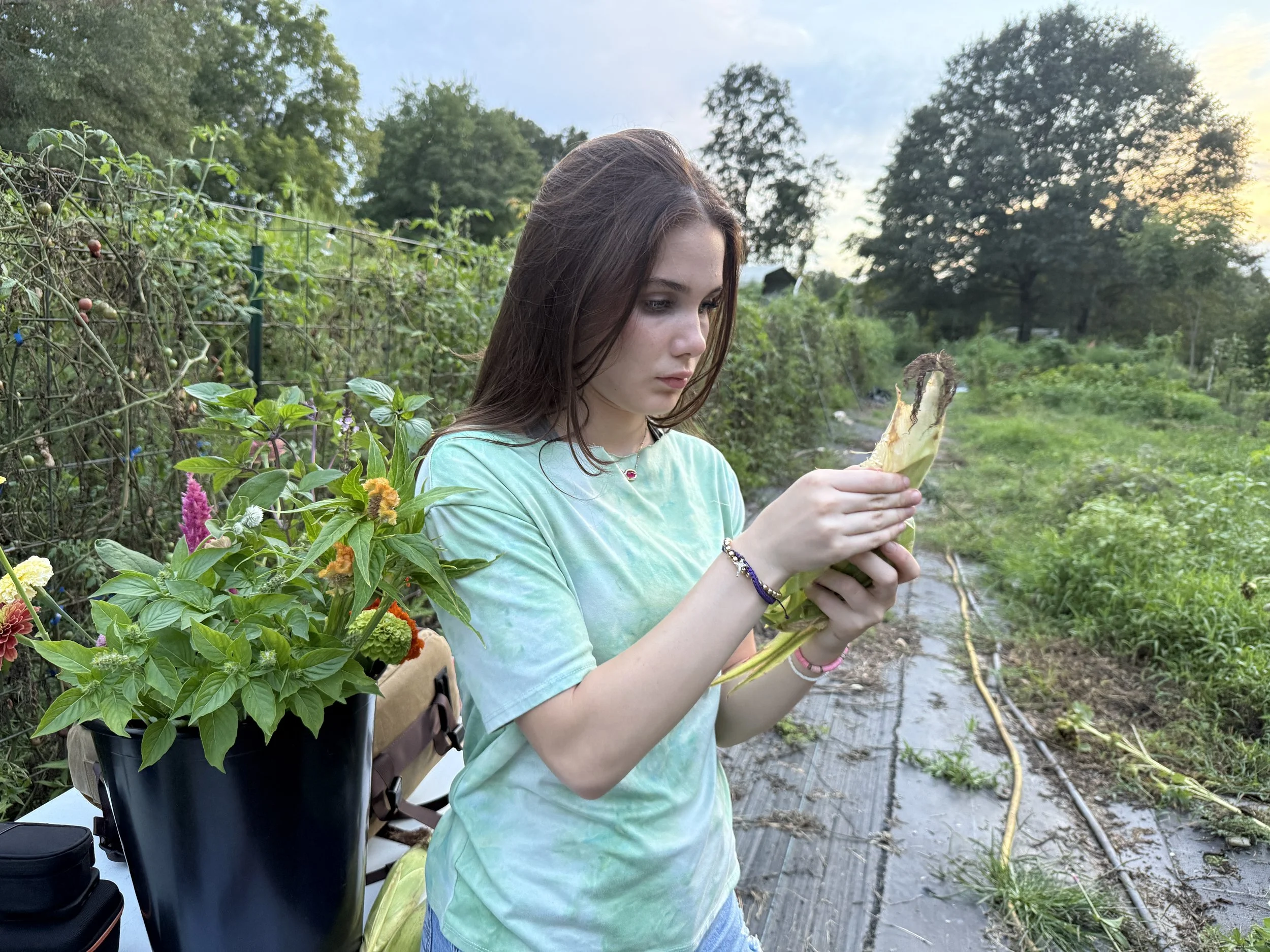 A young woman with long brown hair looking at a large vegetable, possibly a zucchini or cucumber, she is holding in her hands in a garden or farm setting at sunset. There are plants, flowers, and gardening tools around her.