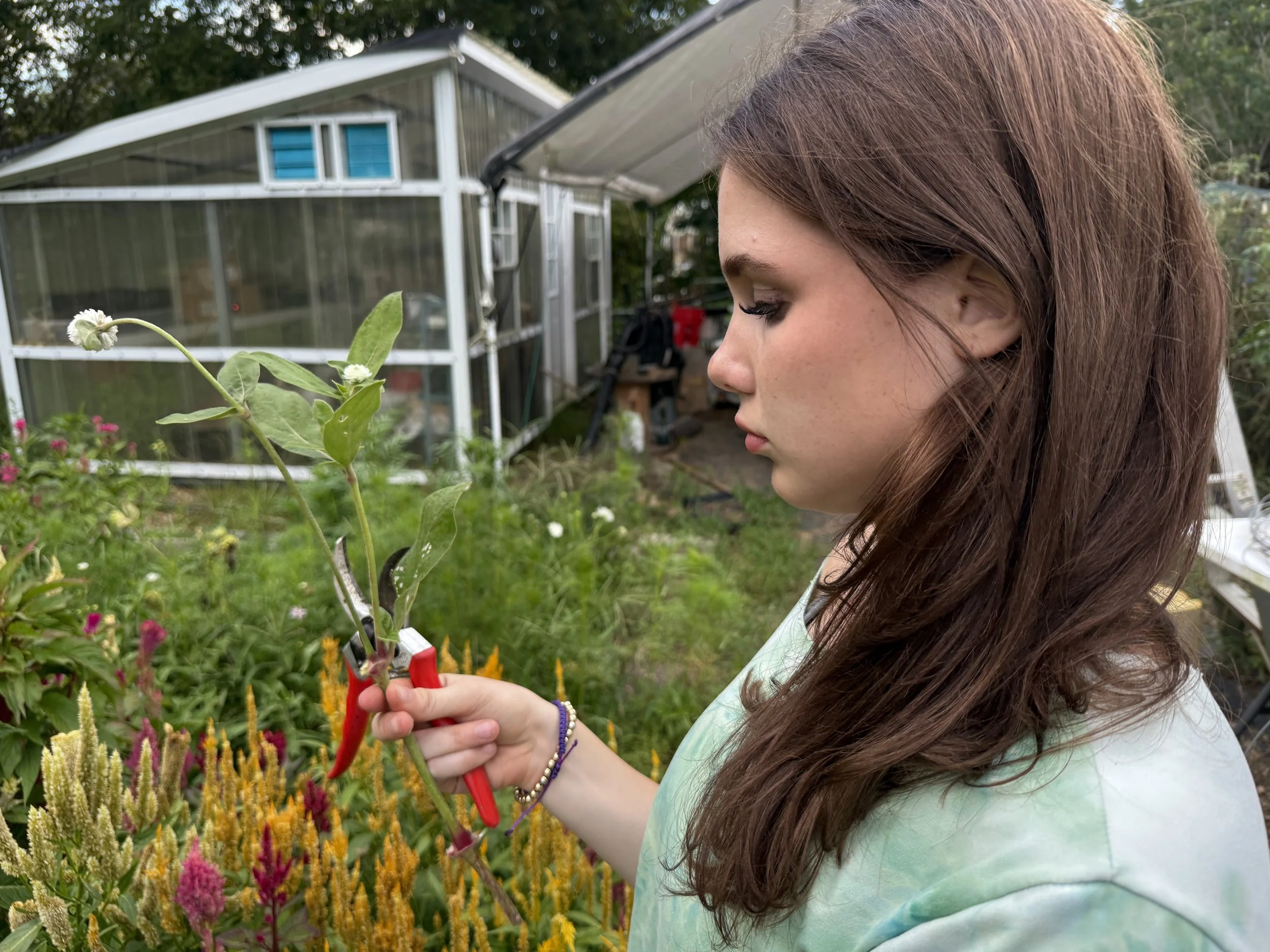 A young woman with brown hair in a greenhouse garden holding pruning shears, tending to a plant.