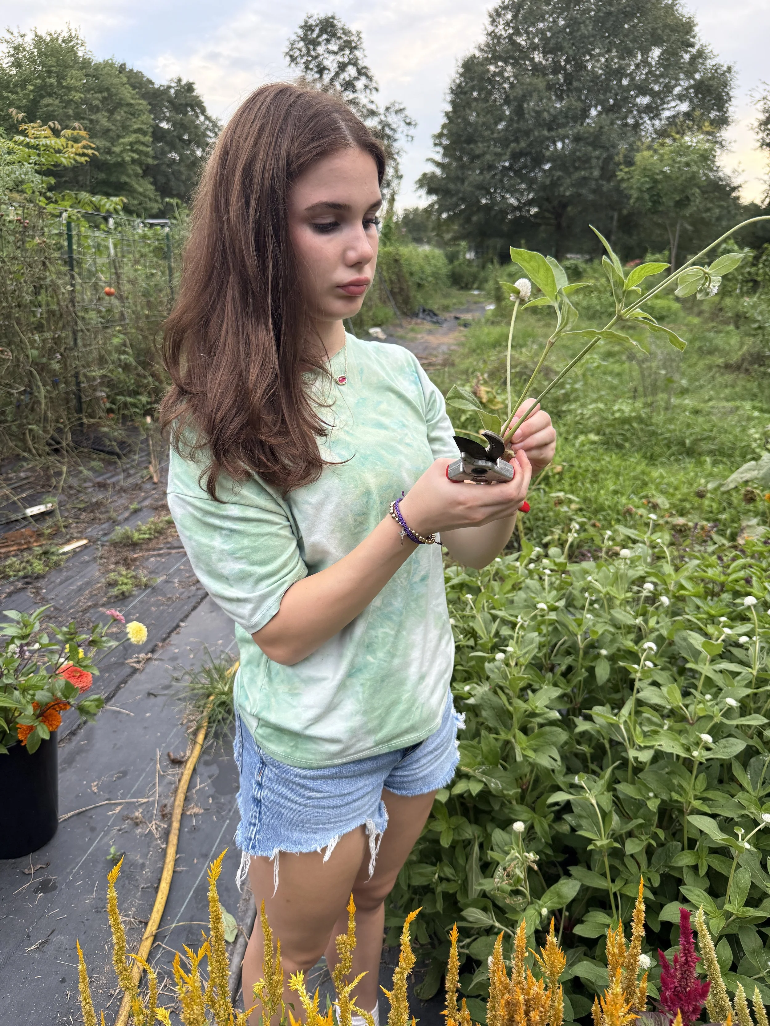 A young woman with brown hair wearing a tie-dye shirt and denim shorts is standing outdoors in a garden, holding and examining a plant.