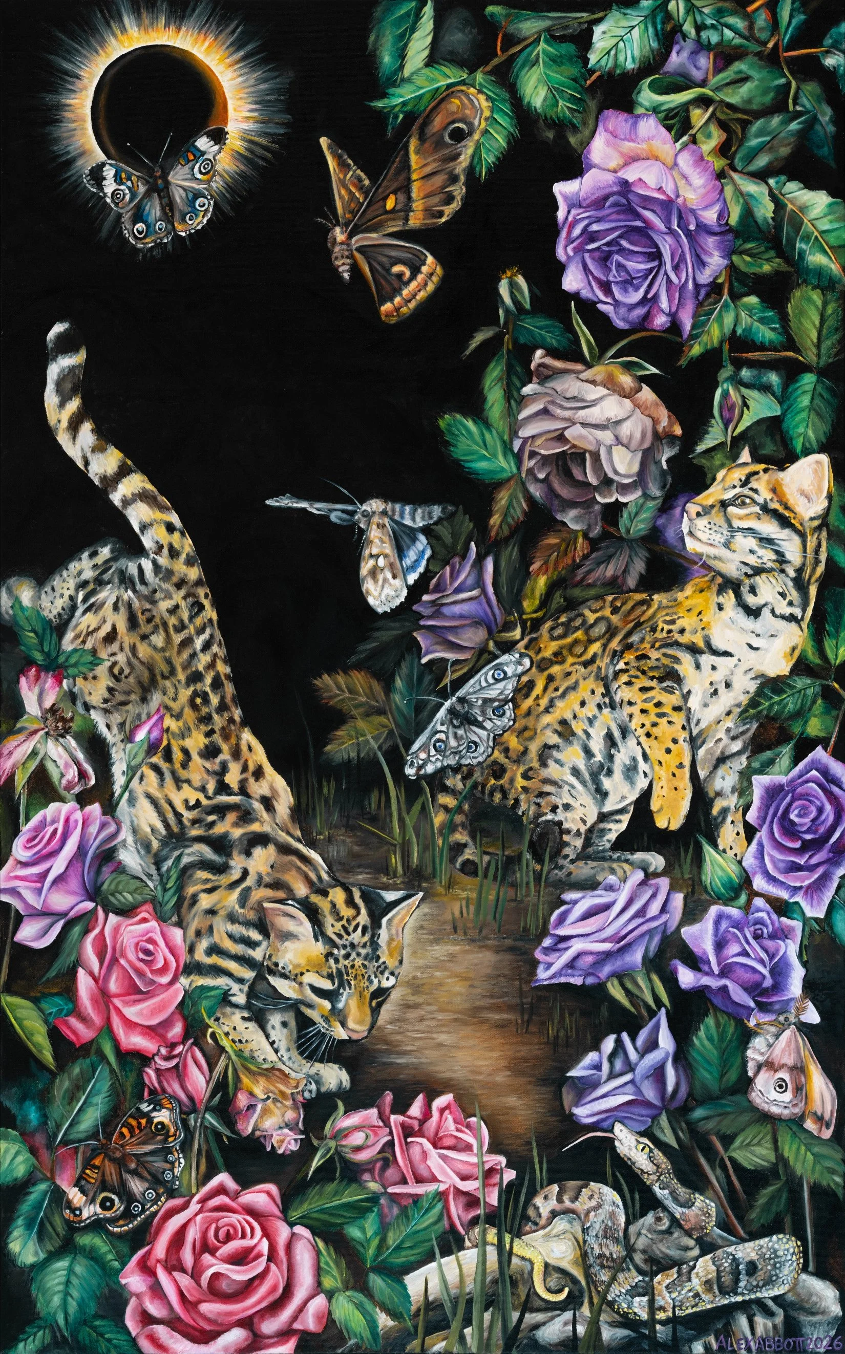 Sub Rosa 2026
Oil on Canvas
30" x 48"