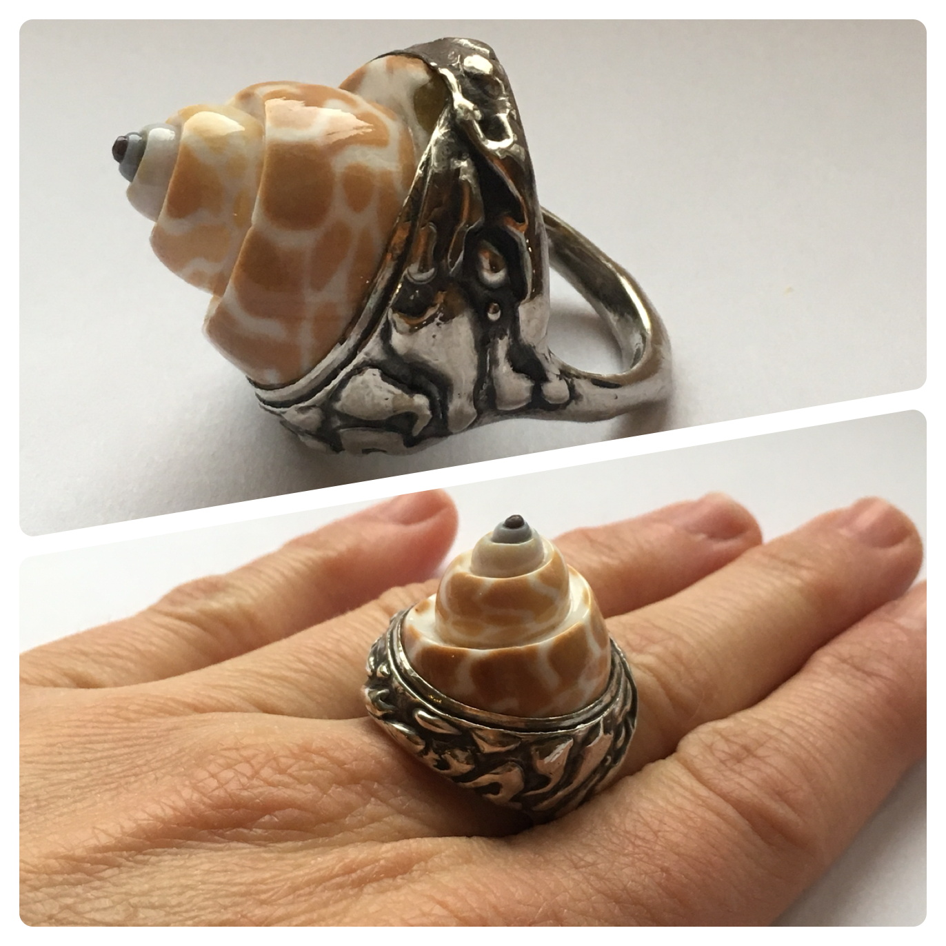 A silver ring with a large conch shell inlay. The shell has a spiral shape and a shiny surface. The ring has a detailed metallic band.