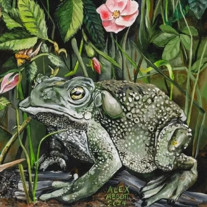 Painting of a frog surrounded by lush green foliage and pink flowers.