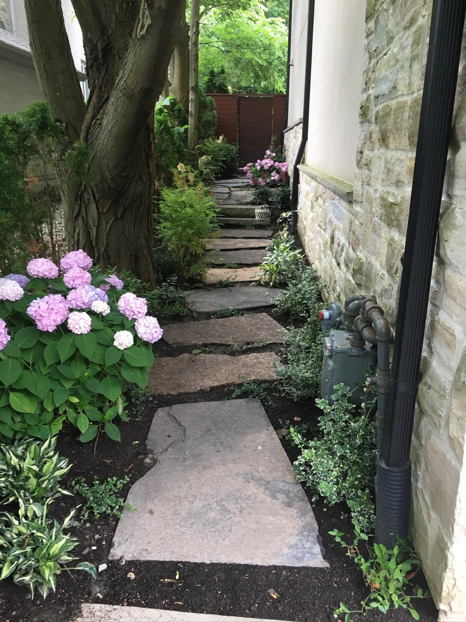 garden flagstone steps side of house.JPG