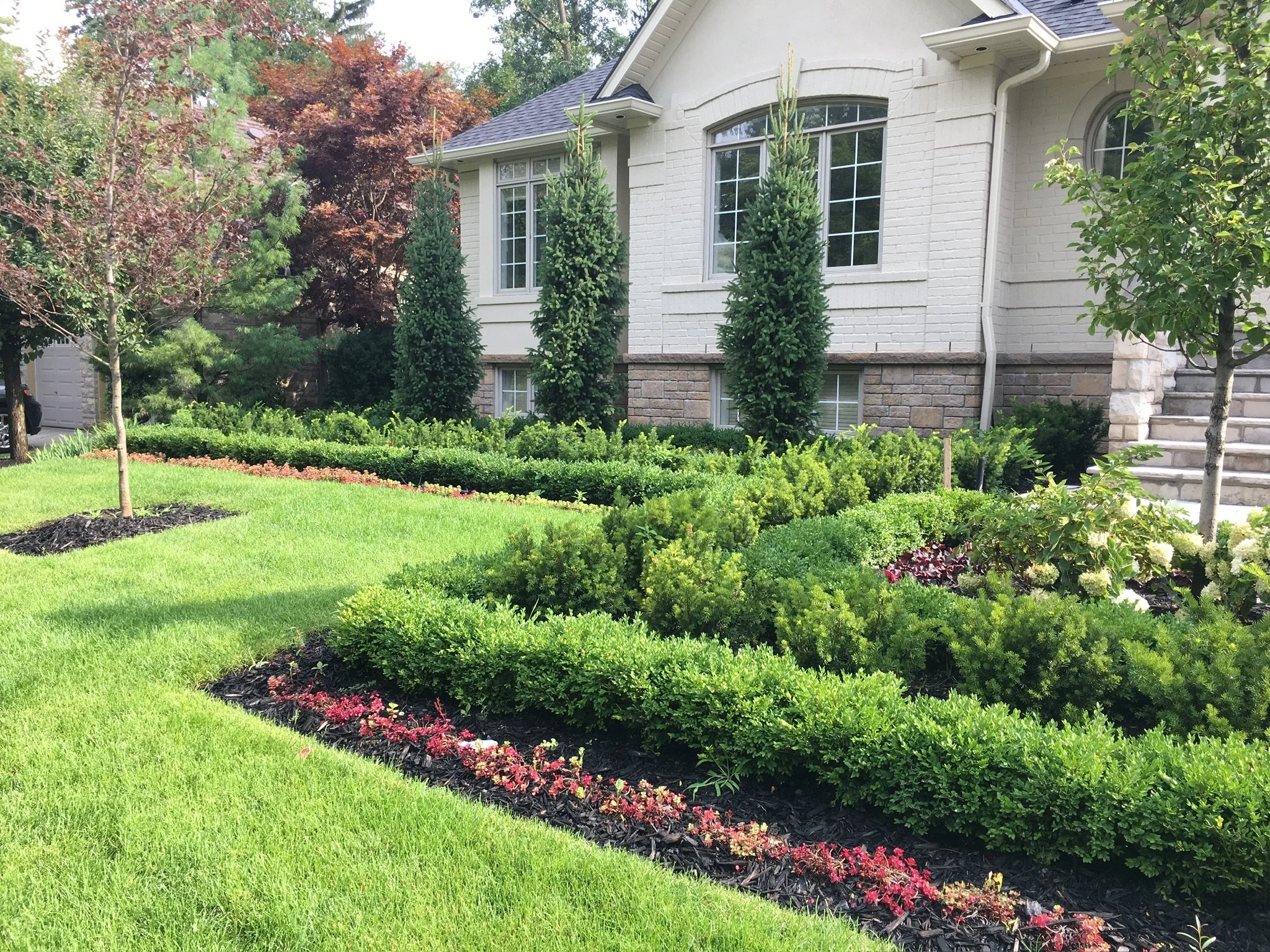 front garden and planting.jpg