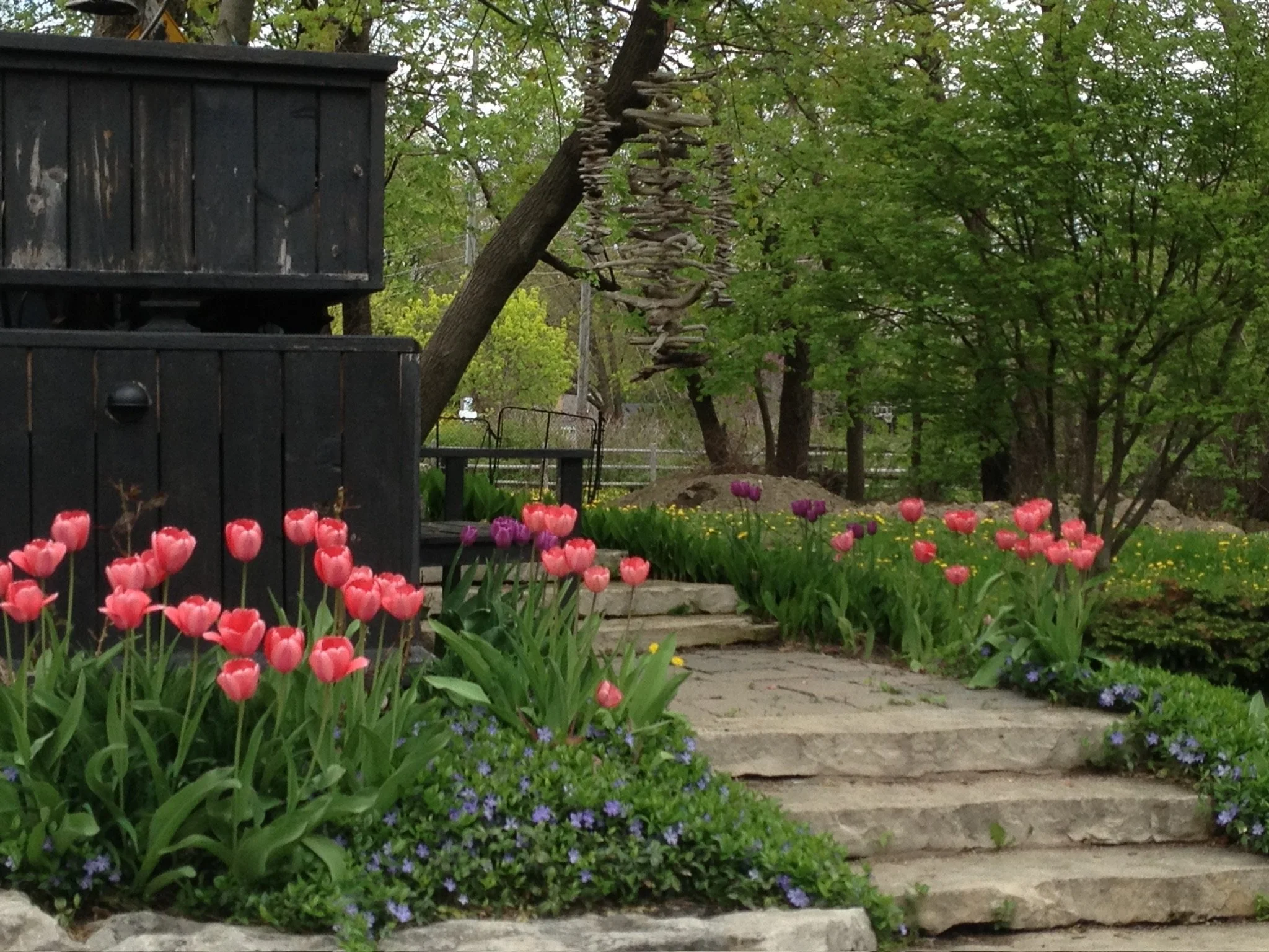 stone garden steps.JPG