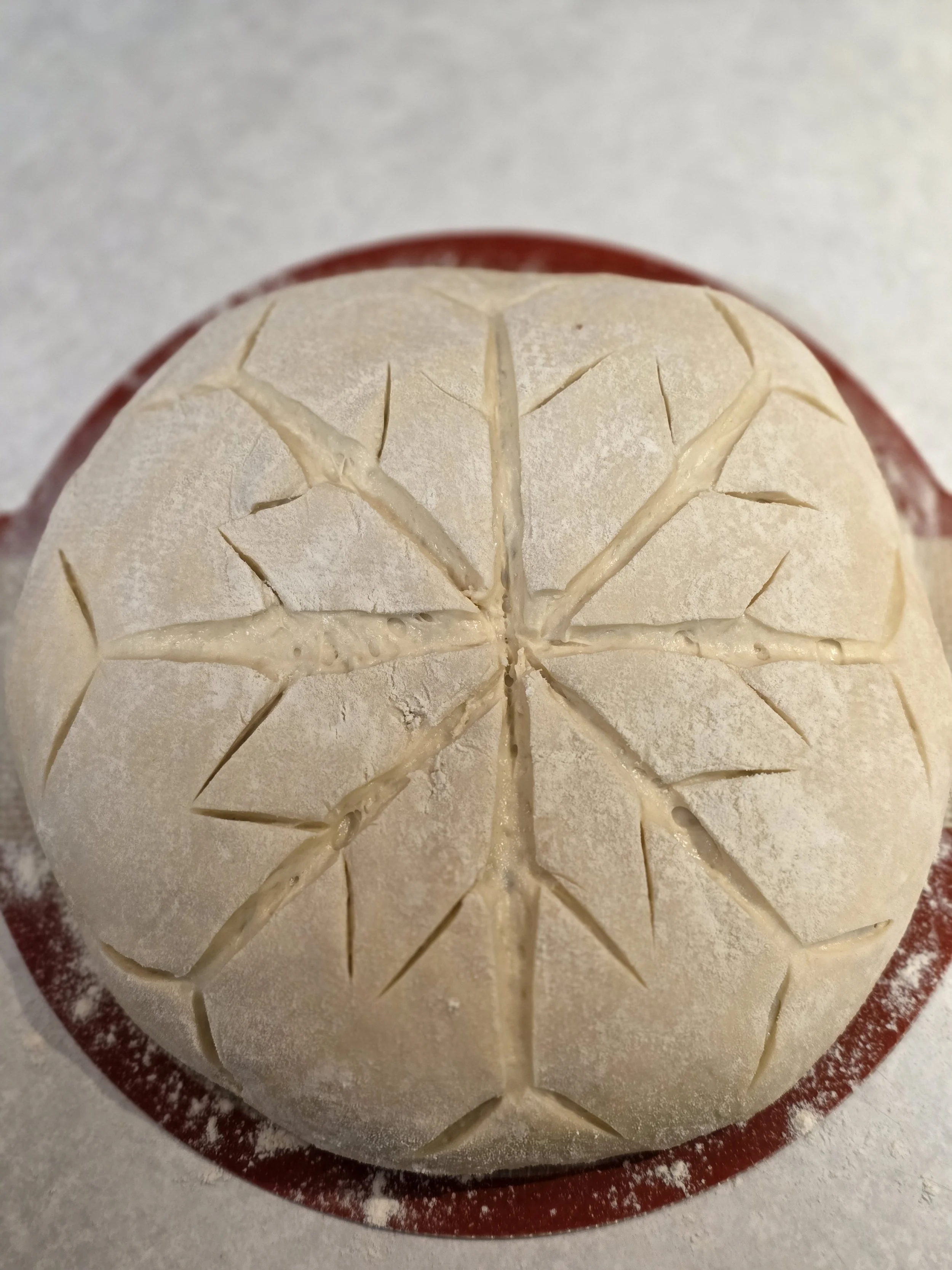 20260117_230132.jpg