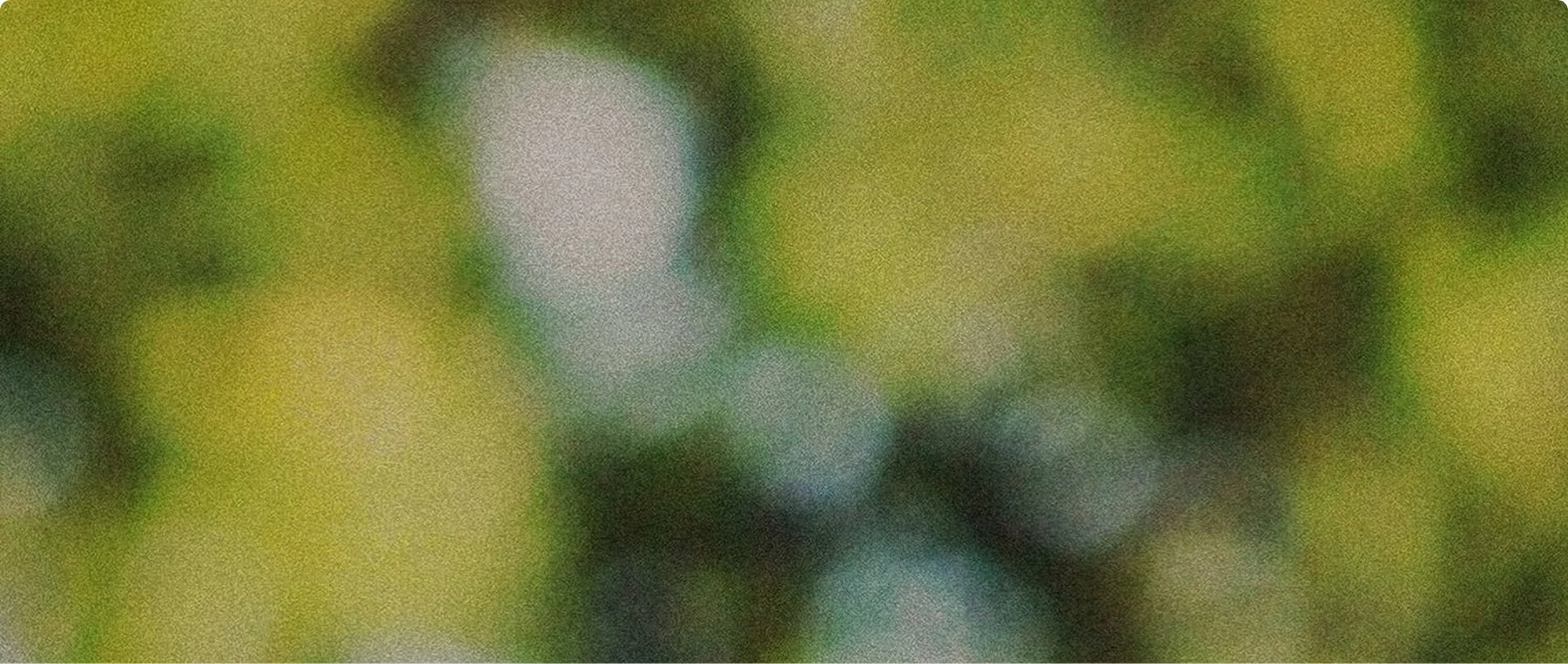 Very blurry, close-up image with shades of green, yellow, and blue. No clear objects or details are identifiable.